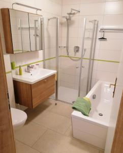 ReidlingApartments Haus Morgensonne的带淋浴、盥洗盆和卫生间的浴室