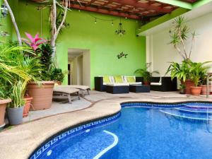 阿拉胡埃拉拉瓜里亚套房酒店的绿色墙壁和植物间的游泳池