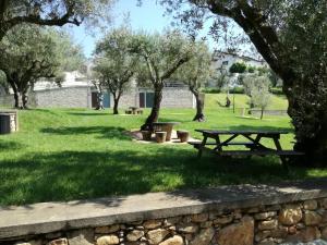 戈伊什Casa D'Avó Mila的公园里种满树木和草地的野餐桌