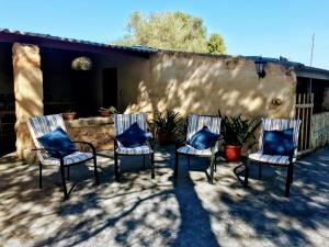 坎波斯Ca na Brila的庭院里摆放着三把椅子和蓝色枕头