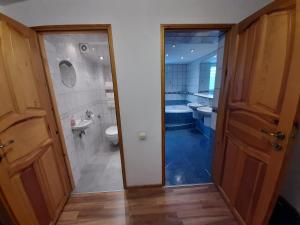 耶莱希尼亚Mieszkanie na wyłączność的带淋浴、卫生间和盥洗盆的浴室