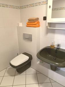 哈廷根Ferienwohnung Blankenstein的浴室配有绿色卫生间和水槽。