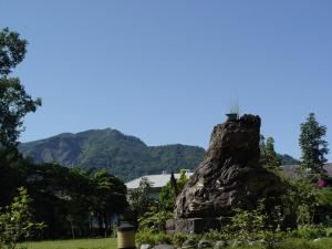 水里乡峰林山庄的上面有植物的岩石