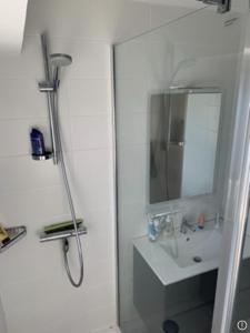 瓦讷65 m2 Centre vannes 2 ch wifi parking的带淋浴和盥洗盆的白色浴室