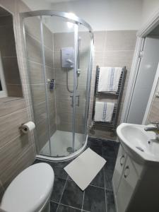贝里Beautiful Rooms的带淋浴、卫生间和盥洗盆的浴室
