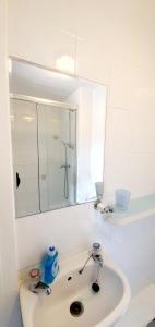 莱德伯里Wheatsheaf Inn的白色的浴室设有水槽和镜子
