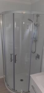 纳皮尔Thistle B&B的浴室里设有玻璃门淋浴