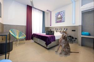 罗马瑞雷斯德伊帕皮酒店的狗坐在卧室里,床边
