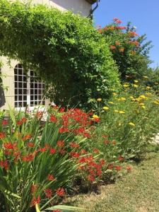 勒托尔Le Mas de la Martelière的一座花园,在房子前面有红色和黄色的花