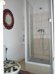 圣丹尼斯Chambres D'hôtes AISSA的带淋浴、卫生间和盥洗盆的浴室