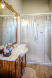 斯佩洛橡子乡村民宿的一间带水槽和淋浴的浴室