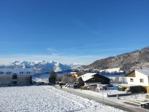 费尔德基希Appartement Feldkirch的山地下雪的小镇