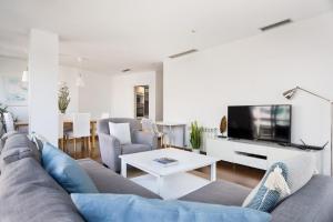 巴塞罗那Les Corts Exclusive Apartments by Olala Homes的带沙发和电视的客厅