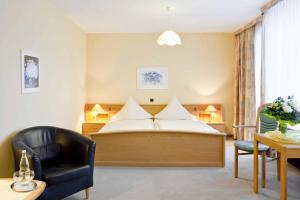 巴特维尔东根博肯斯特恩酒店的配有一张床和一把椅子的酒店客房
