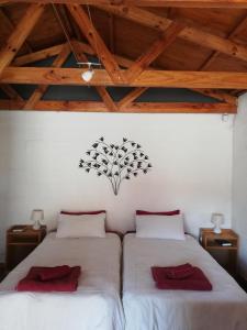 鲸湾港Walvis Bay Backpackers & Self-catering的一间卧室配有两张带红色毛巾的床。