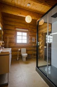 Luxus-Ferienhaus Blockhaus Chalet Nr 1 Toplage am Feldberg mit Sauna, Outdoor-Hottub, Kamin auf 1300m üM的一间浴室