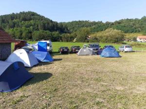 古察Dragacevska avlija - Camp的一群停在田野里的帐篷和汽车