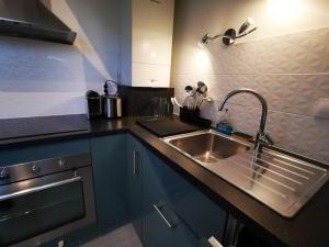 布西圣乔治Akela - Appartement à 12mn de Disneyland Paris !的厨房配有不锈钢水槽和蓝色橱柜