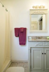 马塞纳湖景汽车旅馆公寓的浴室配有水槽、镜子和紫色毛巾