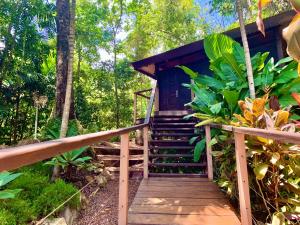 凯恩斯Cairns Rainforest Retreat的通往树林中小屋的木楼梯