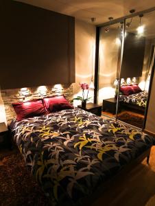 克拉科夫Royal Parkside的一间卧室配有一张大床和镜子