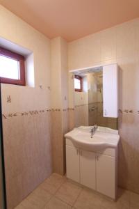 加尔多尼Velence Lake Apartman的一间带水槽和镜子的浴室