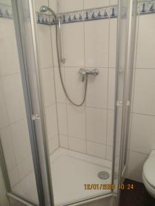 格拉尔-米里茨Apartment Fledermäuschen的带淋浴的浴室和卫生间