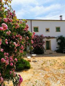 奥斯图尼乔万纳罗拉温室住宿加早餐旅馆的前面有粉红色花的白色建筑