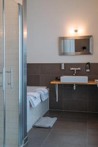 哈莱姆Hotel ML的一间带水槽和淋浴的浴室