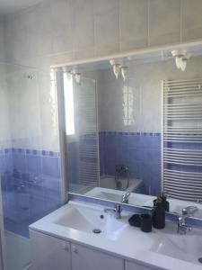 蒙彼利埃La Villa W’ILLYS的一间带水槽和镜子的浴室