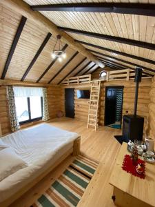 CosteştiPensiunea Lupul Dacic的卧室配有一张床,房间内设有梯子