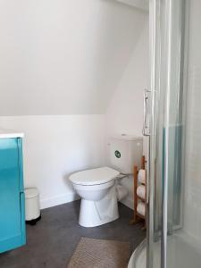 Déville-lès-RouenFleuryBis - Appartement calme proche de Rouen的白色的浴室设有卫生间和淋浴。