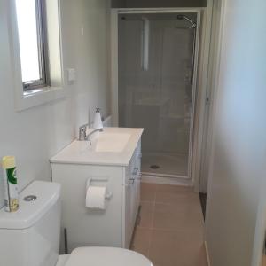 亚历山德拉Dunstan Road B&B的浴室配有卫生间、盥洗盆和淋浴。