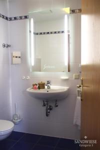 沃尔姆斯温哥特萨德维斯葡萄酒庄酒店的白色的浴室设有水槽和镜子