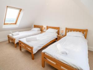 毕晓普奥克兰Auckland Cottage的带窗户的客房内设有两张单人床。