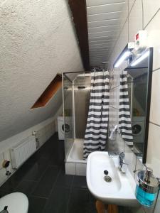 新明斯特Dachgeschosswohnung in Neumünster 2 Zimmer的一间带水槽、卫生间和镜子的浴室
