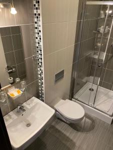 科希策运动旅馆的一间带水槽、卫生间和淋浴的浴室