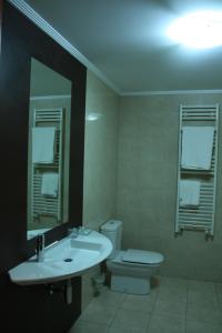 瓜尔多Hotel Tremazal的一间带水槽、卫生间和镜子的浴室