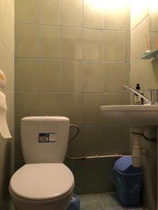 亚列姆切Котедж на Довбуша的一间带卫生间和水槽的浴室