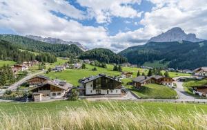 塞尔瓦迪加尔代纳山谷Cadepunt The Dolomites Lodge的山中的一个村庄,有绿草