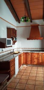 马拉加Casa Rural La Higuera Chica的厨房配有木制橱柜、水槽和微波炉