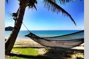 太平洋港Villa Takali - CFC Certified的海滩上棕榈树上的吊床