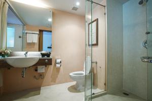七岩亚洲查安酒店的一间带水槽、卫生间和淋浴的浴室