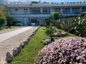 拉卡勒塔阿比塔尔瓦坎匝酒店的仙人掌和鲜花建筑前的花园