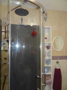 CharmeilLa Roseraie résidence près de Vichy的浴室里设有玻璃门淋浴