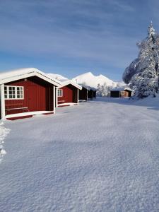 Sjøholt费尔斯托瓦奥斯库耶特小屋酒店的雪覆盖的院子,有红色的建筑和雪 覆盖的树木