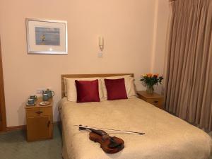 利敦瓦纳拉斯伯恩酒店的一间房间,床上有小提琴