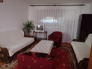 尼什矿泉村Pansion Velickovic的客厅配有沙发和桌子
