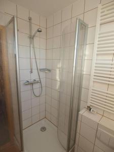 朗格奥Pension Friedrich Voss的浴室里设有玻璃门淋浴