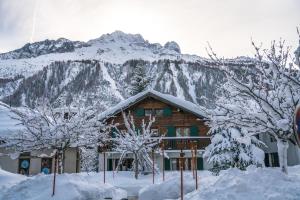 夏蒙尼-勃朗峰Prachtig familie appartement voor 6 personen in het hart van Argentière, Chamonix Mont-Blanc的山前的小木屋,有雪覆盖的树木